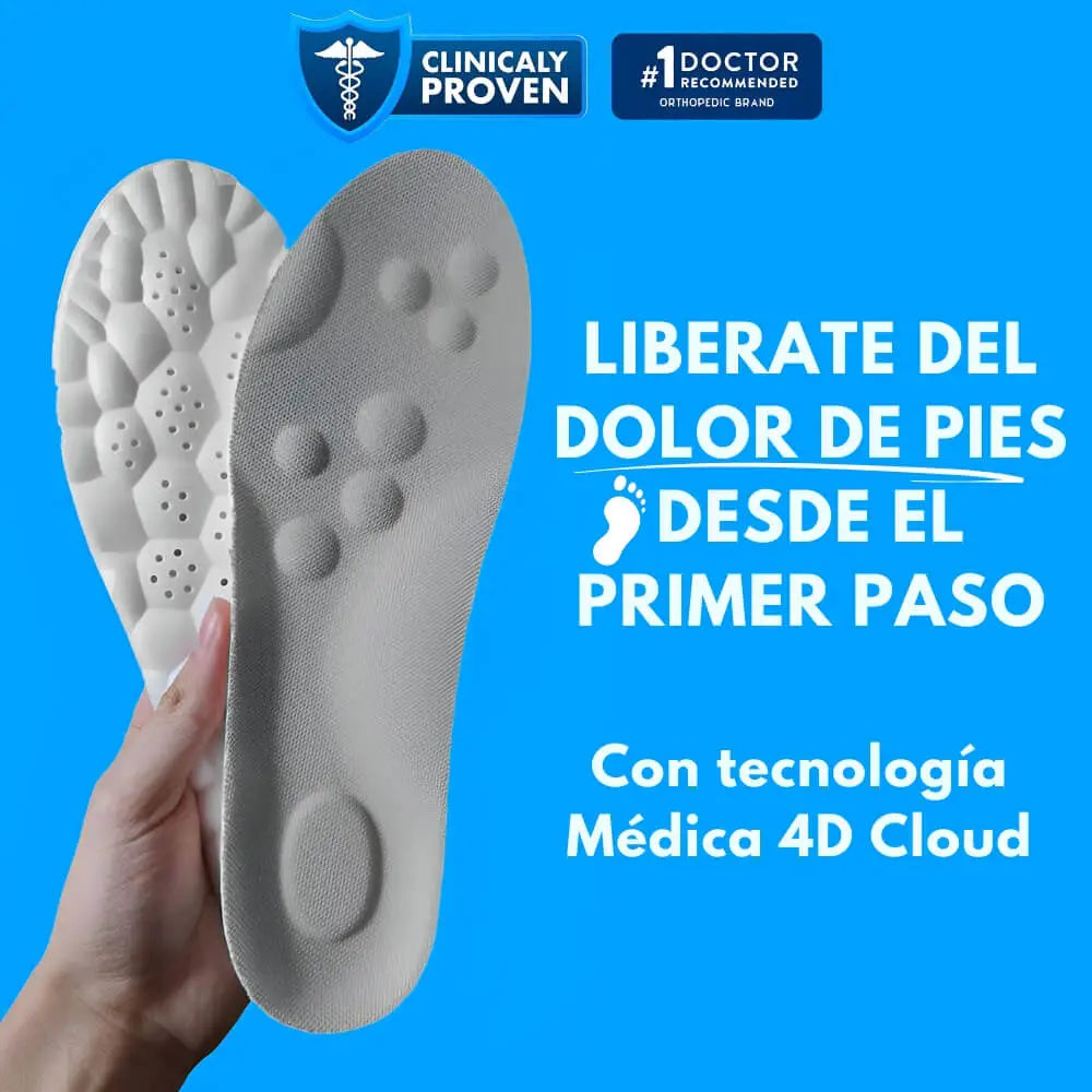Plantillas 4D Cloud